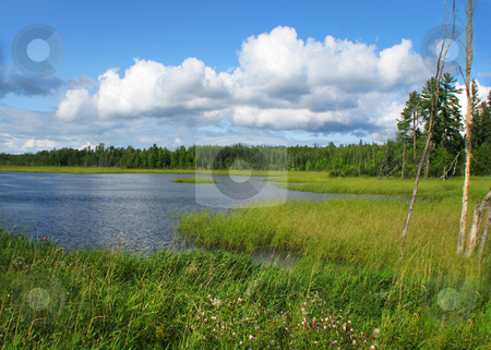 To use this stock image in your creative project, please select the size you need over to the right and click the "Add to Cart" button.
Your downloaded image will come with the Cutcaster watermark removed so don’t worry about the watermark you see on this page. Water_wilderness stock photo, Water flowage through marsh displays wild rice, foliage and dense forest by Bruce Peterson