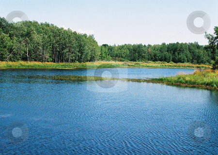 To use this stock image in your creative project, please select the size you need over to the right and click the "Add to Cart" button.
Your downloaded image will come with the Cutcaster watermark removed so don’t worry about the watermark you see on this page. Water_wilderness stock photo, Water flowage through marsh displays foliage before treeline then and dense forest by Bruce Peterson