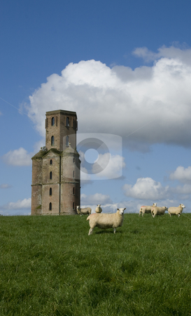 To use this stock image in your creative project, please select the size you need over to the right and click the "Add to Cart" button.
Your downloaded image will come with the Cutcaster watermark removed so don’t worry about the watermark you see on this page. Horton Tower, a folly,Dorset,England stock photo, Built by Humphrey Sturt in the 1700s Horton Tower is a folly ( a building constructed by wealthy landowners for no useful purpose). It may have been an observatory. Standing on a hill it dominates the surrounding Dorset countryside. more recently it has been restored and has discrete mobile phone antenae attached to it. It featured in a film of Thomas Hardy's novel Far from the Madding Crowd by Chris Pole