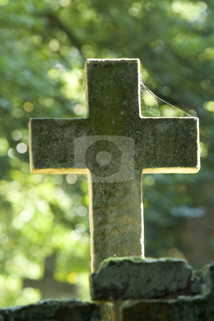 To use this stock image in your creative project, please select the size you need over to the right and click the "Add to Cart" button.
Your downloaded image will come with the Cutcaster watermark removed so don’t worry about the watermark you see on this page. Backlit cross in a graveyard stock photo, Backlit cross in a graveyard with cobweb and a blurred background by Chris Pole
