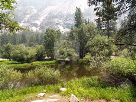 To use this stock image in your creative project, please select the size you need over to the right and click the "Add to Cart" button.
Your downloaded image will come with the Cutcaster watermark removed so don’t worry about the watermark you see on this page. Pond in high sierra valley yosemite park stock photo, Pond reflecting trees and surroundings with mountains in back by Jeff Cleveland