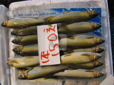 To use this stock image in your creative project, please select the size you need over to the right and click the "Add to Cart" button.
Your downloaded image will come with the Cutcaster watermark removed so don’t worry about the watermark you see on this page. Fish Market stock photo, by Sidharth Malhotra