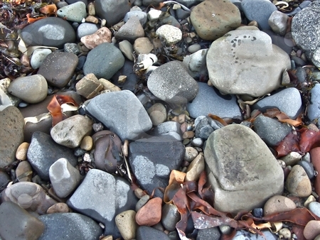 To use this stock image in your creative project, please select the size you need over to the right and click the "Add to Cart" button.
Your downloaded image will come with the Cutcaster watermark removed so don’t worry about the watermark you see on this page. Stones on the beach stock photo, Closeup shot of stones on a beach in scotland by Laurent Dambies