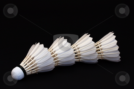 To use this stock image in your creative project, please select the size you need over to the right and click the "Add to Cart" button.
Your downloaded image will come with the Cutcaster watermark removed so don’t worry about the watermark you see on this page. Badminton Shuttlecocks stock photo, Four badminton shuttlecocks against a black background by Inge Schepers