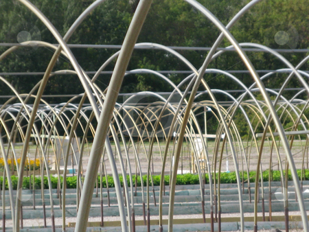 To use this stock image in your creative project, please select the size you need over to the right and click the "Add to Cart" button.
Your downloaded image will come with the Cutcaster watermark removed so don’t worry about the watermark you see on this page. Pattern_arches stock photo, Steel tube frame pattern of arches over plant nursery by Bruce Peterson