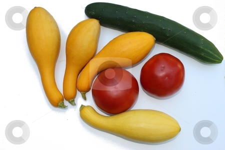 To use this stock image in your creative project, please select the size you need over to the right and click the "Add to Cart" button.
Your downloaded image will come with the Cutcaster watermark removed so don’t worry about the watermark you see on this page. Summer veggies stock photo, Group of summer vegetables on white background by Linda Johnson