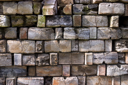 To use this stock image in your creative project, please select the size you need over to the right and click the "Add to Cart" button.
Your downloaded image will come with the Cutcaster watermark removed so don’t worry about the watermark you see on this page. On end stock photo, Old wooden blocks placed on end with strong side lighting by Paul Phillips