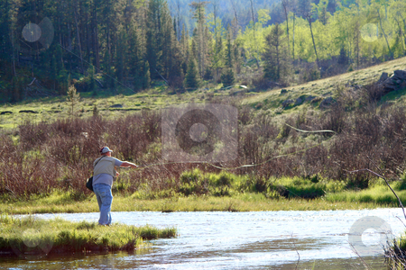 To use this stock image in your creative project, please select the size you need over to the right and click the "Add to Cart" button.
Your downloaded image will come with the Cutcaster watermark removed so don’t worry about the watermark you see on this page. Jette Flyfishing 4 stock photo, Buffalo, WY resident Jeff Jette flyfishing for brook trout on the middle fork of Crazy Woman Creek in the Big Horn National Forest. by Clay Anthony