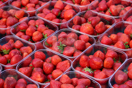 To use this stock image in your creative project, please select the size you need over to the right and click the "Add to Cart" button.
Your downloaded image will come with the Cutcaster watermark removed so don’t worry about the watermark you see on this page. Fresh strawberries stock photo, Fresh strawberries in baskets for sale in a market by Kheng Guan Toh
