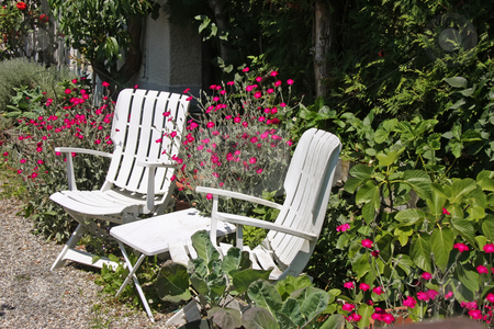 To use this stock image in your creative project, please select the size you need over to the right and click the "Add to Cart" button.
Your downloaded image will come with the Cutcaster watermark removed so don’t worry about the watermark you see on this page. Garden chairs stock photo, White deck charis summertime in the garden by Kheng Guan Toh