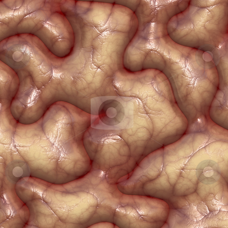 To use this stock image in your creative project, please select the size you need over to the right and click the "Add to Cart" button.
Your downloaded image will come with the Cutcaster watermark removed so don’t worry about the watermark you see on this page. Brain texture stock photo, Brain texture with veins and wrinkles rendered illustration by Kheng Guan Toh