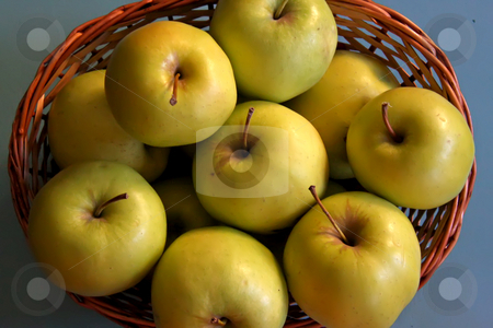 To use this stock image in your creative project, please select the size you need over to the right and click the "Add to Cart" button.
Your downloaded image will come with the Cutcaster watermark removed so don’t worry about the watermark you see on this page. Green apples stock photo, Pile of fresh green apples in basket by Kheng Guan Toh