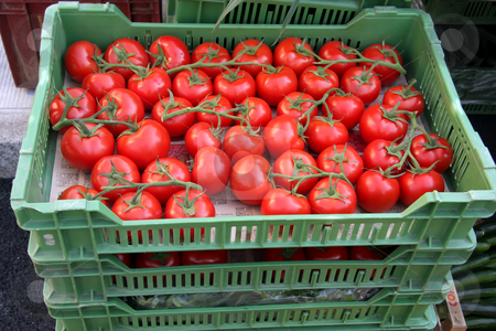 To use this stock image in your creative project, please select the size you need over to the right and click the "Add to Cart" button.
Your downloaded image will come with the Cutcaster watermark removed so don’t worry about the watermark you see on this page. Tomatoes in crates stock photo, Fresh vine-ripened organic tomatoes in crates on sale in market by Kheng Guan Toh