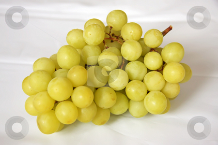 To use this stock image in your creative project, please select the size you need over to the right and click the "Add to Cart" button.
Your downloaded image will come with the Cutcaster watermark removed so don’t worry about the watermark you see on this page. Fresh grapes stock photo, Whole bunch of fresh green grapes with stalk by Kheng Guan Toh