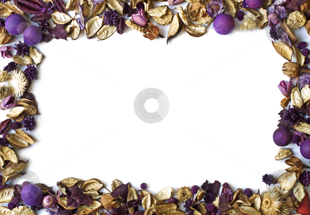 To use this stock image in your creative project, please select the size you need over to the right and click the "Add to Cart" button.
Your downloaded image will come with the Cutcaster watermark removed so don’t worry about the watermark you see on this page. Dry flowers frame stock photo, Dry flowers' frame isolated on white. by Sinisa Botas