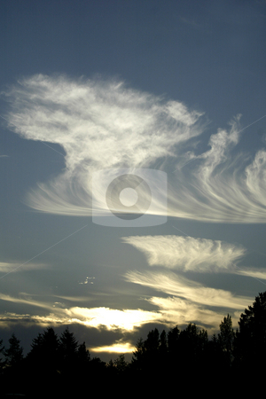 To use this stock image in your creative project, please select the size you need over to the right and click the "Add to Cart" button.
Your downloaded image will come with the Cutcaster watermark removed so don’t worry about the watermark you see on this page. Autumn Sunset stock photo, September 30, 2003 : The fall autumn sky lit up with a golden sunset through out Bainbridge Island on a crisp fall evening. by Jesse Beals