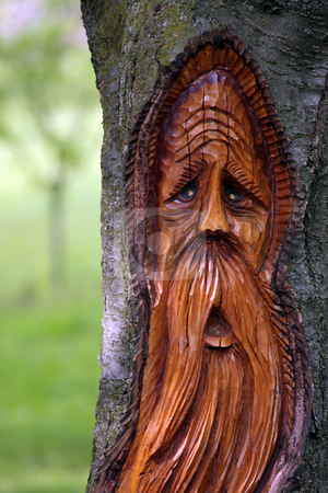 To use this stock image in your creative project, please select the size you need over to the right and click the "Add to Cart" button.
Your downloaded image will come with the Cutcaster watermark removed so don’t worry about the watermark you see on this page. Spirit Of The Trees stock photo, Beautiful carving of a face on a tree against blurred background. by Megan Lorenz