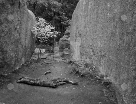 To use this stock image in your creative project, please select the size you need over to the right and click the "Add to Cart" button.
Your downloaded image will come with the Cutcaster watermark removed so don’t worry about the watermark you see on this page. Path between the granite boulders stock photo, A black and white version of a photo of a path between two huge granite boulders by Mitch Aunger