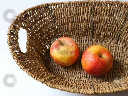 To use this stock image in your creative project, please select the size you need over to the right and click the "Add to Cart" button.
Your downloaded image will come with the Cutcaster watermark removed so don’t worry about the watermark you see on this page. Old apple stock photo, Dead nature represent with two old apples. by Sinisa Botas