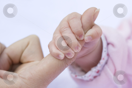 To use this stock image in your creative project, please select the size you need over to the right and click the "Add to Cart" button.
Your downloaded image will come with the Cutcaster watermark removed so don’t worry about the watermark you see on this page. Baby Hand stock photo, Baby's hand holding an adult's finger by Inge Schepers