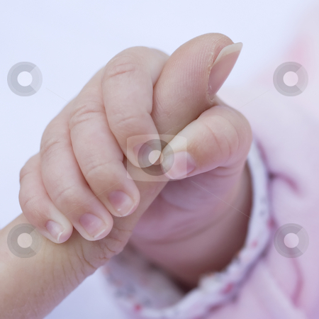 To use this stock image in your creative project, please select the size you need over to the right and click the "Add to Cart" button.
Your downloaded image will come with the Cutcaster watermark removed so don’t worry about the watermark you see on this page. Baby Hand stock photo, Baby's hand holding an adult's finger by Inge Schepers