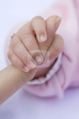To use this stock image in your creative project, please select the size you need over to the right and click the "Add to Cart" button.
Your downloaded image will come with the Cutcaster watermark removed so don’t worry about the watermark you see on this page. Baby Hand stock photo, Baby's hand holding an adult's finger by Inge Schepers