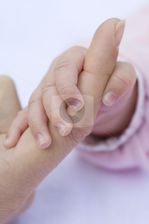 To use this stock image in your creative project, please select the size you need over to the right and click the "Add to Cart" button.
Your downloaded image will come with the Cutcaster watermark removed so don’t worry about the watermark you see on this page. Baby Hand stock photo, Baby's hand holding an adult's finger by Inge Schepers