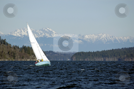 To use this stock image in your creative project, please select the size you need over to the right and click the "Add to Cart" button.
Your downloaded image will come with the Cutcaster watermark removed so don’t worry about the watermark you see on this page. Sailing on Puget sound stock photo, With the Olympic Mountains in the background, a sailboat heads across the Puget Sound during the Toliva Shoal boat race in Olympia, Wa. No release. by Tim Thompson