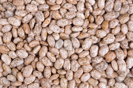 To use this stock image in your creative project, please select the size you need over to the right and click the "Add to Cart" button.
Your downloaded image will come with the Cutcaster watermark removed so don’t worry about the watermark you see on this page. Pinto Beans stock photo, A texture of many pinto beans by Steve Smith
