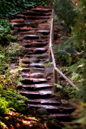To use this stock image in your creative project, please select the size you need over to the right and click the "Add to Cart" button.
Your downloaded image will come with the Cutcaster watermark removed so don’t worry about the watermark you see on this page. Old Wet Stone Steps stock photo, Old wet stone steps in a forest by Henrik Lehnerer