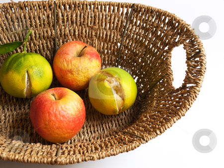 To use this stock image in your creative project, please select the size you need over to the right and click the "Add to Cart" button.
Your downloaded image will come with the Cutcaster watermark removed so don’t worry about the watermark you see on this page. Ruined fructus stock photo, Bad fruits represent problems in agriuclture. by Sinisa Botas
