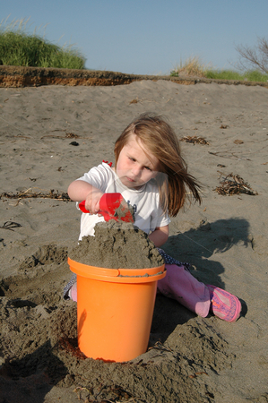 To use this stock image in your creative project, please select the size you need over to the right and click the "Add to Cart" button.
Your downloaded image will come with the Cutcaster watermark removed so don’t worry about the watermark you see on this page. Concentration stock photo, She looks like she is concentrating real hard on putting the sand in this bucket, but she was also having a great time on the beach. This girl was playing on the beach near Ocean Shores, Wa. by Tim Thompson