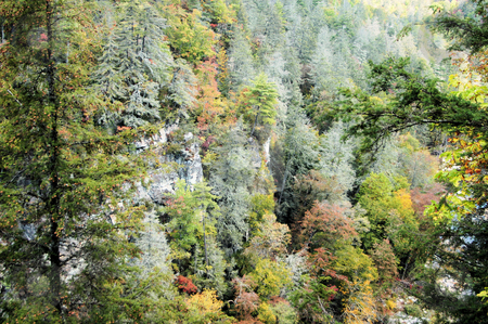 To use this stock image in your creative project, please select the size you need over to the right and click the "Add to Cart" button.
Your downloaded image will come with the Cutcaster watermark removed so don’t worry about the watermark you see on this page. Side of the mountan stock photo, The side of the mountain in the early fall. From the Linville Gorge area of North Carolina. by Tim Markley