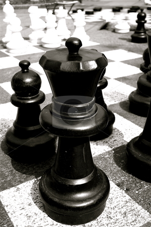 To use this stock image in your creative project, please select the size you need over to the right and click the "Add to Cart" button.
Your downloaded image will come with the Cutcaster watermark removed so don’t worry about the watermark you see on this page. Black and White Giant Chess stock photo, Giant Chess board and game in a park in Geneva by Jeff Crowe