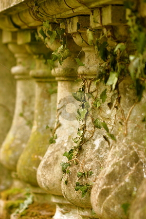 To use this stock image in your creative project, please select the size you need over to the right and click the "Add to Cart" button.
Your downloaded image will come with the Cutcaster watermark removed so don’t worry about the watermark you see on this page. Bridge Column and Ivy stock photo, An old bridge with ivy growing on the columns by Jeff Crowe