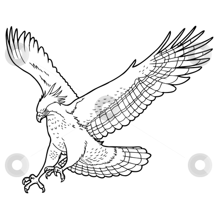 To use this stock image in your creative project, please select the size you need over to the right and click the "Add to Cart" button.
Your downloaded image will come with the Cutcaster watermark removed so don’t worry about the watermark you see on this page. Eagle stock vector clipart, Detailed easy to edit sketch of eagle by Oleksandr Krizhanivskyy