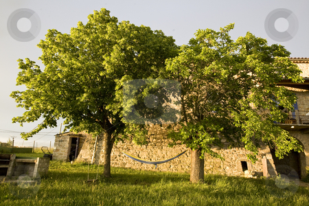 To use this stock image in your creative project, please select the size you need over to the right and click the "Add to Cart" button.
Your downloaded image will come with the Cutcaster watermark removed so don’t worry about the watermark you see on this page. Hammock in trees and old stone farmhouse france stock photo, A hammock in trees and old stone farmhouse france by Mark Yuill