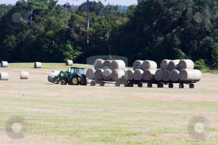 To use this stock image in your creative project, please select the size you need over to the right and click the "Add to Cart" button.
Your downloaded image will come with the Cutcaster watermark removed so don’t worry about the watermark you see on this page. Hay harvest stock photo, Harvesting of round hay bales in a farmers field by Lee Barnwell