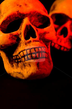 To use this stock image in your creative project, please select the size you need over to the right and click the "Add to Cart" button.
Your downloaded image will come with the Cutcaster watermark removed so don’t worry about the watermark you see on this page. Scary Halloween stock photo, Skull series of pictures for Halloween season by Jose Wilson Araujo