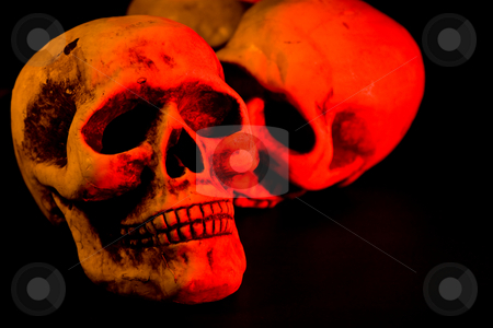 To use this stock image in your creative project, please select the size you need over to the right and click the "Add to Cart" button.
Your downloaded image will come with the Cutcaster watermark removed so don’t worry about the watermark you see on this page. Scary Halloween stock photo, Skull series of pictures for Halloween season by Jose Wilson Araujo
