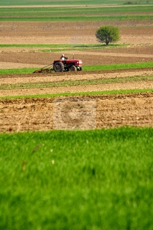 To use this stock image in your creative project, please select the size you need over to the right and click the "Add to Cart" button.
Your downloaded image will come with the Cutcaster watermark removed so don’t worry about the watermark you see on this page. Farm land stock photo, Rural landscape by Mark Yuill