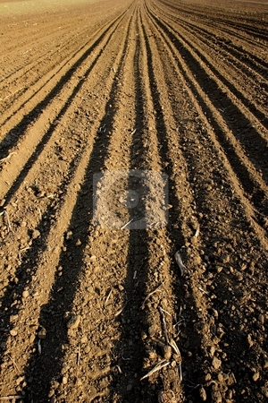 To use this stock image in your creative project, please select the size you need over to the right and click the "Add to Cart" button.
Your downloaded image will come with the Cutcaster watermark removed so don’t worry about the watermark you see on this page. Field stock photo, Ploughed field by Mark Yuill