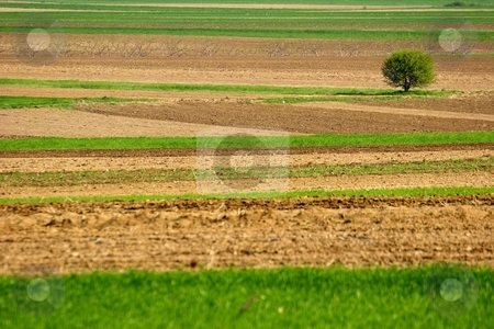 To use this stock image in your creative project, please select the size you need over to the right and click the "Add to Cart" button.
Your downloaded image will come with the Cutcaster watermark removed so don’t worry about the watermark you see on this page. Farmland stock photo, Rural landscape of a farm by Mark Yuill