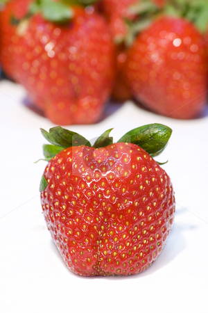 To use this stock image in your creative project, please select the size you need over to the right and click the "Add to Cart" button.
Your downloaded image will come with the Cutcaster watermark removed so don’t worry about the watermark you see on this page. Strawberry stand on front stock photo, Strawberrys background - Strawberry stand on front by Paulo Resende