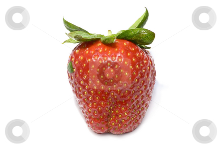 To use this stock image in your creative project, please select the size you need over to the right and click the "Add to Cart" button.
Your downloaded image will come with the Cutcaster watermark removed so don’t worry about the watermark you see on this page. Strawberrie stock photo, Isolated fruit - strawberrie by Paulo Resende