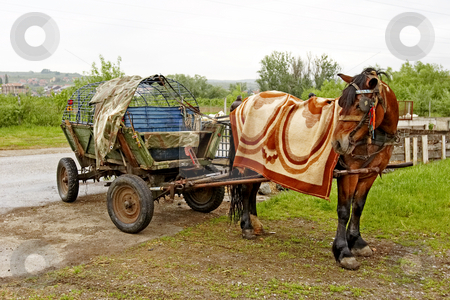 To use this stock image in your creative project, please select the size you need over to the right and click the "Add to Cart" button.
Your downloaded image will come with the Cutcaster watermark removed so don’t worry about the watermark you see on this page. Horse and cart stock photo, Horse and cart by Mark Yuill