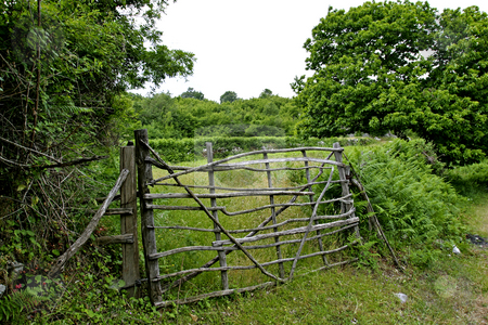 To use this stock image in your creative project, please select the size you need over to the right and click the "Add to Cart" button.
Your downloaded image will come with the Cutcaster watermark removed so don’t worry about the watermark you see on this page. Tradional farm gate stock photo, Tradional farm gate in Montenegro by Mark Yuill