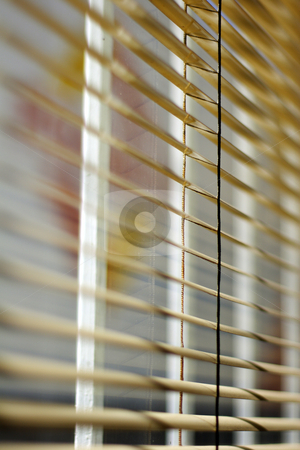 To use this stock image in your creative project, please select the size you need over to the right and click the "Add to Cart" button.
Your downloaded image will come with the Cutcaster watermark removed so don’t worry about the watermark you see on this page. Ventetian blind stock photo, Venetian blind detail by Mark Yuill