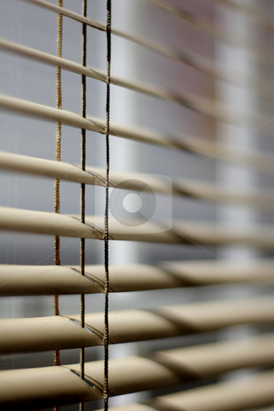 To use this stock image in your creative project, please select the size you need over to the right and click the "Add to Cart" button.
Your downloaded image will come with the Cutcaster watermark removed so don’t worry about the watermark you see on this page. Ventetian blind stock photo, Venetian blind detail by Mark Yuill