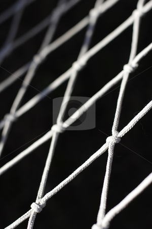 To use this stock image in your creative project, please select the size you need over to the right and click the "Add to Cart" button.
Your downloaded image will come with the Cutcaster watermark removed so don’t worry about the watermark you see on this page. Close up photograph of net stock photo, close up photograph of a net on black background by Mark Yuill